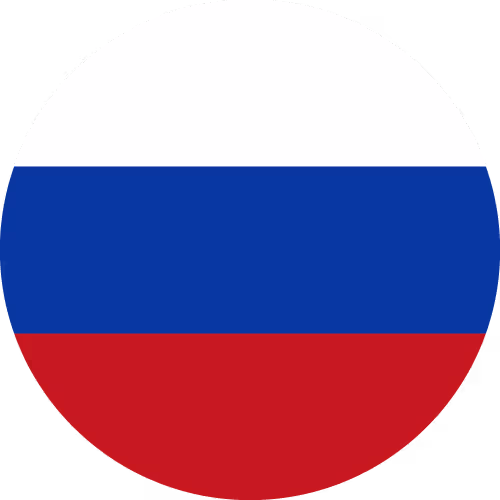 lang-icon